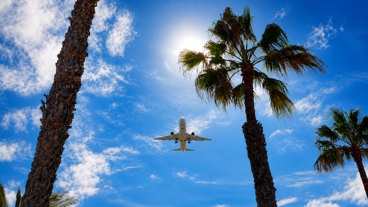 Airplane flying in the sky with palm trees below
