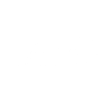 Shuffleboard