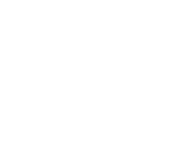 Wireless Speakers